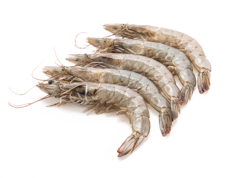 Pure Shrimp čerstvé krevety L 50/60 ks v 1kg balení